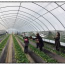 문경관광농원 이미지