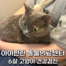 아이편한 동물의료센터 이미지