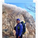 경북 문경 주흘산(주봉)(1,076M)[2017/11/18] 이미지