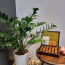 통도한의원 이미지