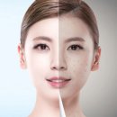 동아메디텍 | 2024년 화장품·뷰티 트렌드 변화