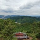 진산 노컷뉴스