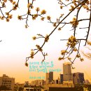 하루하루 - 광주시 | 하루하루