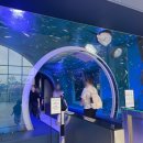 해양경찰서 앞 | 시흥 아기랑 갈만한곳, 해양생태과학관 예약 못하고 현장방문