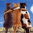 창조노인복지센터 이미지