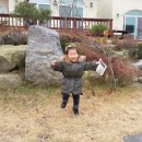 채원애뜰 이미지