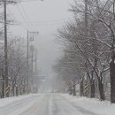 여주 다리원 애견독채팬션 이미지