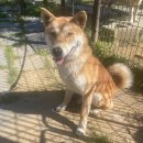 옥계농협주유소 이미지