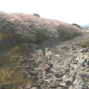 사려니하우스 이미지