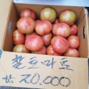 아빠네과일야채 - 동구 대전로 655 | 아빠네과일야채