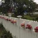 과수원집 이미지