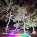 울주 피크닉 콘서트 유월의 밤 | 울산대공원 가든 나이트 마켓 후기｜주차·먹거리·회전목마 무료·버스킹 총정리