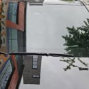 당근모터스 이미지