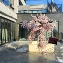 하이이(HYEE) 이미지