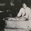 정동벌립장 이미지