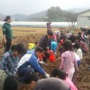 광주지산초등학교 이미지