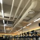 신모라 휘트니스 이미지