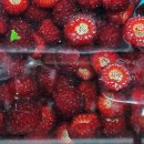 조경희농장 이미지