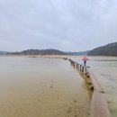 영주수도리박천립가옥 | 선비.양반마을인 영주 무섬마을과 아름다운 외나무다리