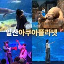 보훈농장 | 일산 가볼만한곳 아쿠아리움 아쿠아플라넷 일산 실내 아이와 갈만한곳