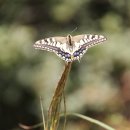 용와산성 이미지