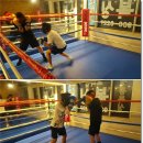 프라임복싱클럽 이미지