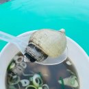 고한 구공탄시장 | 정선 고한 - 구공탄 야시장 &amp; 꼬들살 맛집 연탄구이 다원