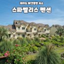 수국펜션 | 제주 애견동반숙소 스파벨리스펜션, 감귤체험, 동물농장, 수국정원있는 펜션(솔직후기)