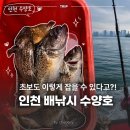 남양낚시 | 인천 배낚시 추천 초보도 우럭 잘 잡히는 수양호 가격 내돈내산 후기