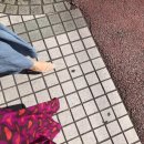 노은점이니스프리 | 2017.09. 1/2 일상