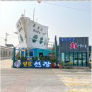 털보애견 이미지