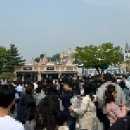 5월 연휴 에버랜드 오픈런 아이랑 후기(사파리월드, 퍼레이드 꿀팁)