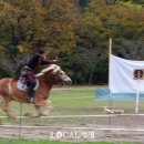 왕배목장 이미지