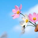 신곡경희한의원 이미지