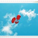 알펜시아 스키 & 스노우보드 이미지