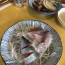 중림동물고기