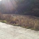 마운틴공인중개사사무소 이미지