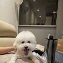 (주)뭉치