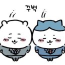 영천축산물도매직판장 이미지