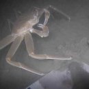 자원부화장 이미지