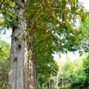 큰마을저수지 이미지