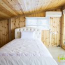 제주배또롱 이미지