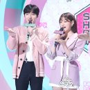 미나헤어 이미지