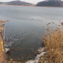 장안대교(밑) 이미지