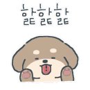 멍줍 강아지 산책 유치원 이미지