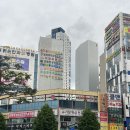 서구-01-86 | 광주선글라스 젠틀몬스터 세비지 더글라스 광천 후기