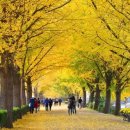 아산마을진입로 이미지