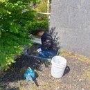 천정경로당 이미지