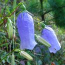 금강조선(주) 이미지