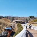 유안이네교래점